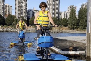 Vancouver: Water Bike Rental in False Creek