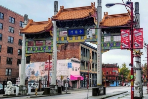 Vancouver: Walbeobachtungsabenteuer mit privater Tour durch die Stadt