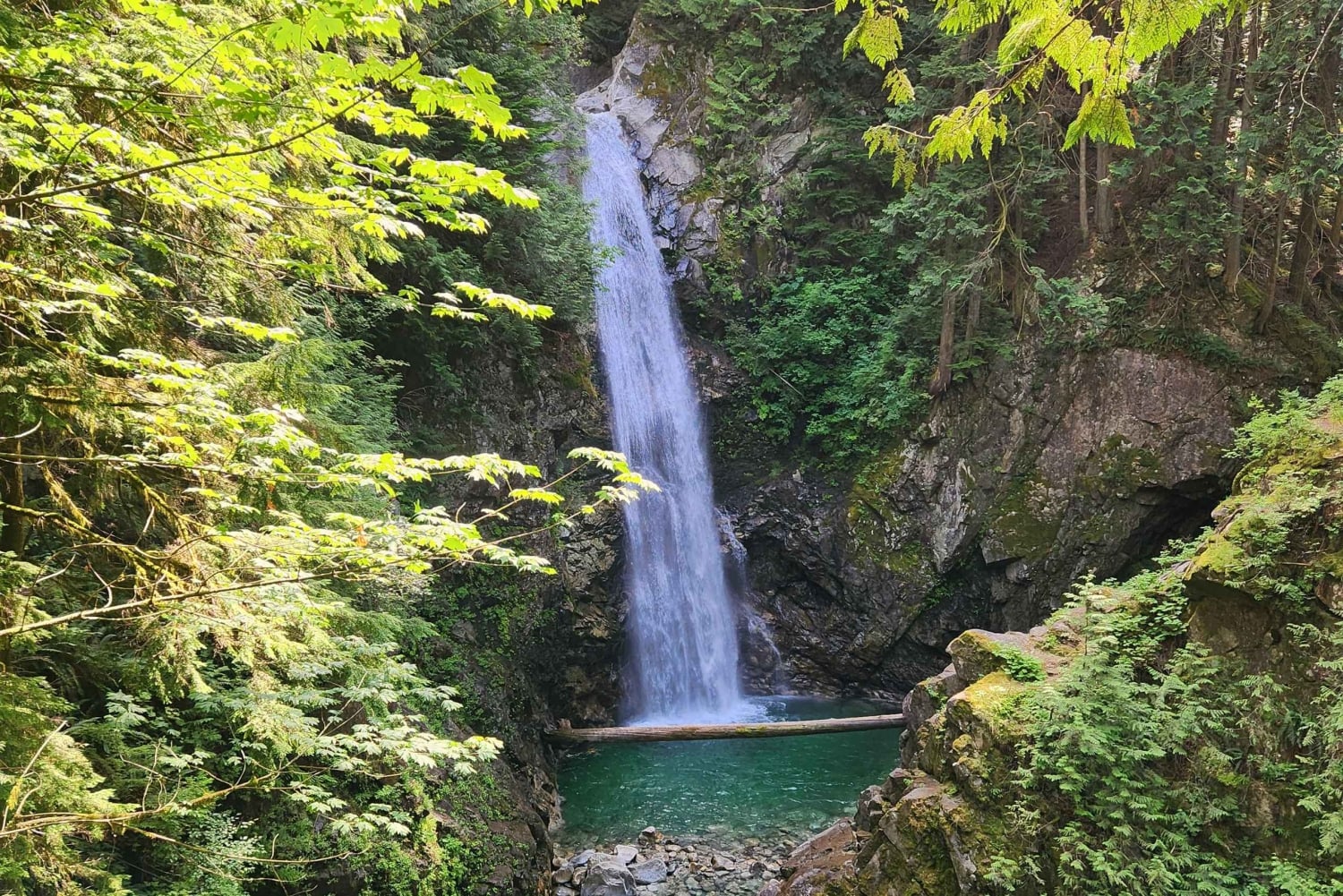 Vancouver: Whistler dagsutflykt med Sea to Sky gondolresa