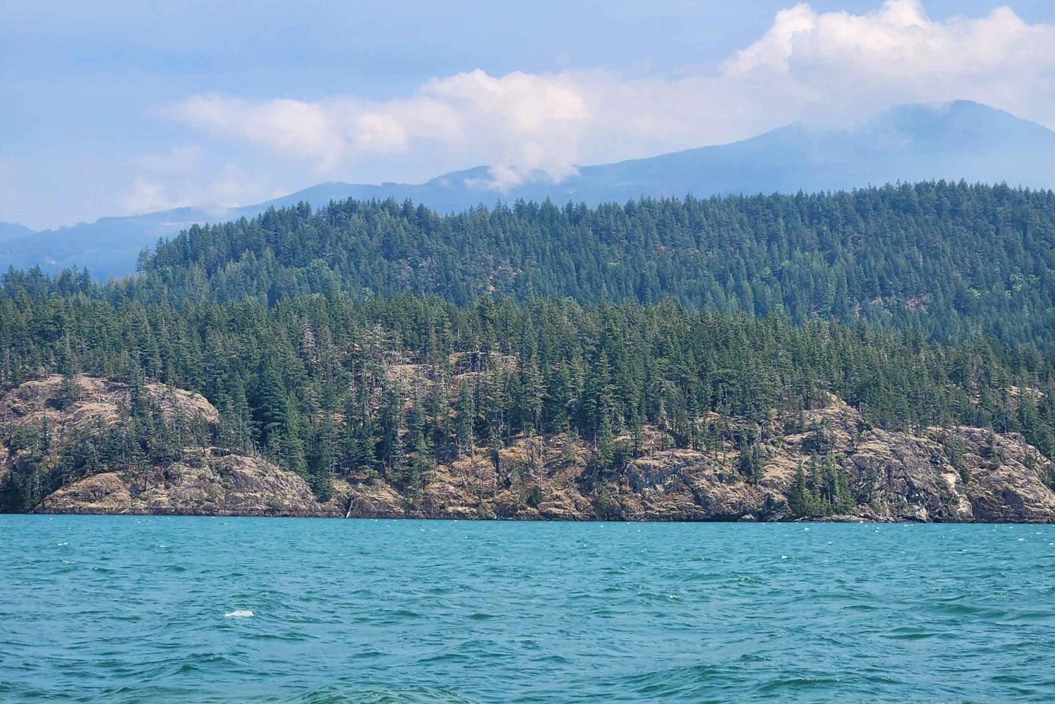 Vancouver: Whistler dagsutflykt med Sea to Sky gondolresa