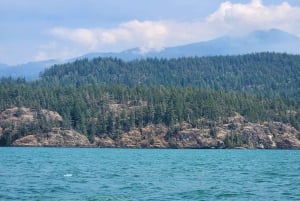 Vancouver: Whistler-dagtour met Sea to Sky-gondelrit