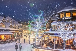 Vancouver: Whistler-dagtour met Sea to Sky-gondelrit