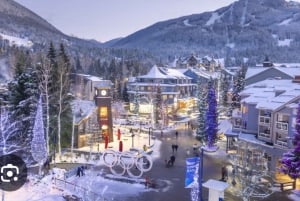 Vancouver: Whistler-dagtour met Sea to Sky-gondelrit