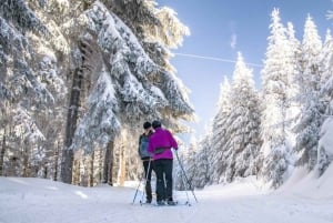 Vancouver: Whistler Olympic Park Evening Snowshoeing/Skiing