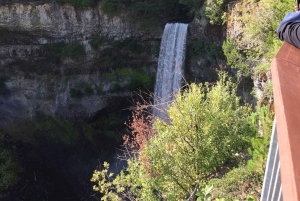 Vancouver : Visite touristique de Whistler avec prise en charge à l'hôtel