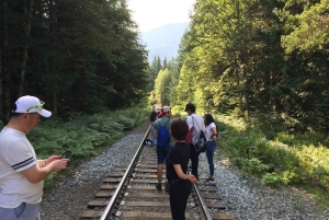 Vancouver : Visite touristique de Whistler avec prise en charge à l'hôtel