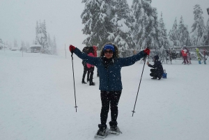 Vancouver Winter fun Mountain adventure Tour Private