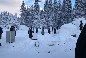 Vancouver Winter fun Mountain adventure Tour Privado