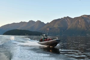 Vancouver: tour di avvistamento balene in gommone da Granville Island