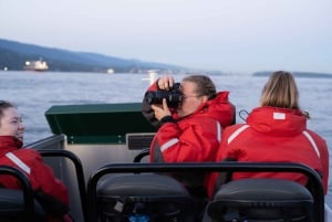 Vancouver: tour di avvistamento balene in gommone da Granville Island