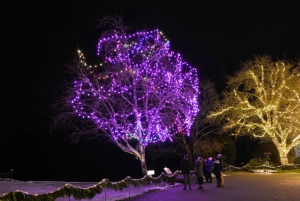 Victoria and Butchart Gardens Christmas Tour