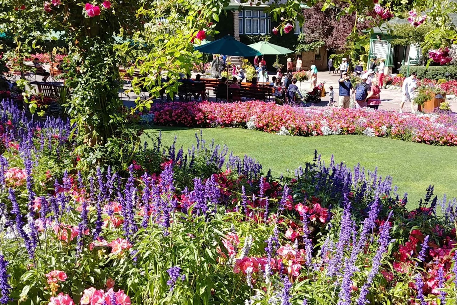 Tour privato di Victoria e dei Giardini di Butchard da Vancouver