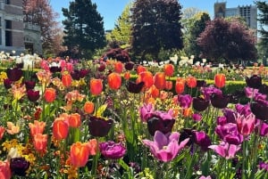 Victorian Butchart Gardens & City Highlights yksityinen kierros