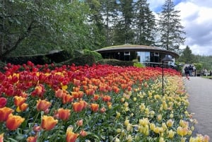 Privat omvisning i Victorias Butchart Gardens og byens høydepunkter