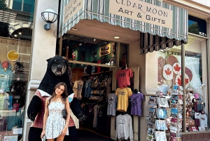 Victorian kaupungin kohokohdat - Puolipäiväinen yksityinen kiertoajelu retki