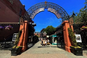 Victorian kaupungin kohokohdat - Puolipäiväinen yksityinen kiertoajelu retki