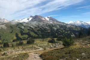 Whistler: bergwandeling met gondelrit