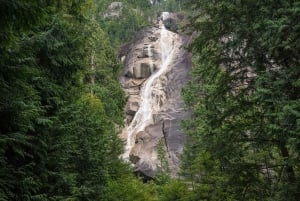 Whistler: Sea to Sky Gondola, Shannon y Brandywine Falls