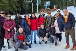 Whistler: Sea to Sky Gondola, Shannon y Brandywine Falls