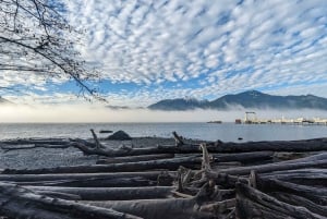 Whistler, Sea to Sky Gondola, Shannon Fall og Green Lake Tour
