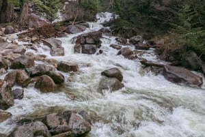 Whistler, Sea to Sky Gondola, Shannon Fall og Green Lake Tour