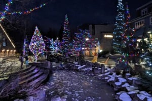 Whistler, Sea to Sky Gondola, Shannon Fall og Green Lake Tour