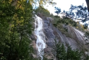 Whistler, Sea to Sky Gondola, Shannon Fall og Green Lake Tour