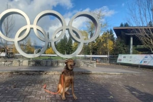 Whistler, Sea to Sky Gondola, Shannon Fall og Green Lake Tour