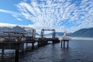 Whistler, Sea to Sky Gondola, Shannon Fall og Green Lake Tour