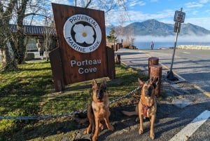 Whistler, Sea to Sky Gondola, Shannon Fall og Green Lake Tour