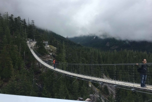 Whistler Village, gita di 1 giorno in funivia Sea to Sky