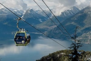 Whistler Village, gita di 1 giorno in funivia Sea to Sky