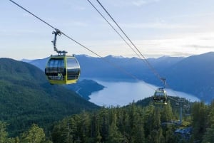 Whistler Village, gita di 1 giorno in funivia Sea to Sky