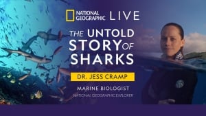 National Geographic Live - Untold Story of Sharks