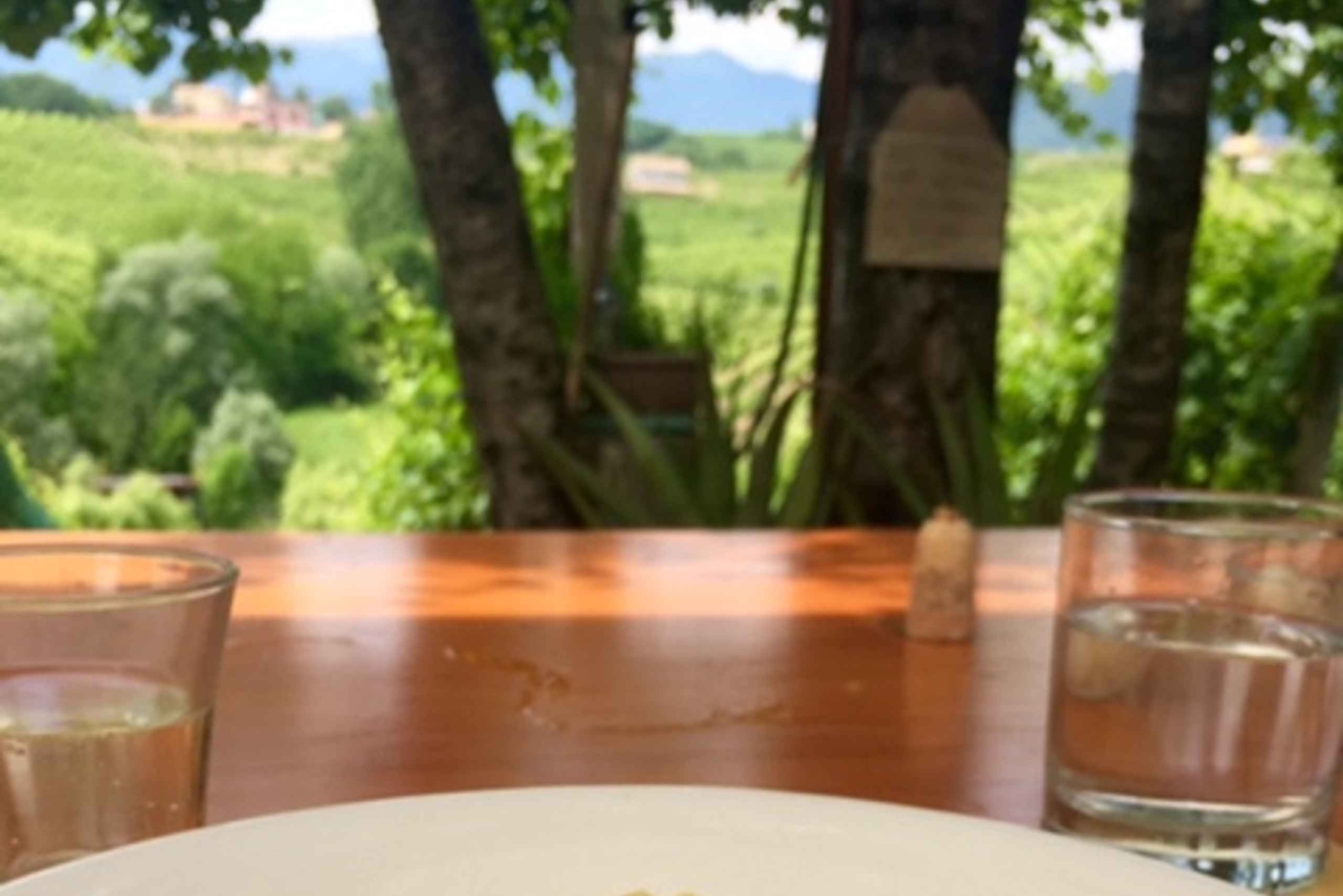 8-часовой тур 'Вино Просекко и дегустации' из Венеции или Падуи