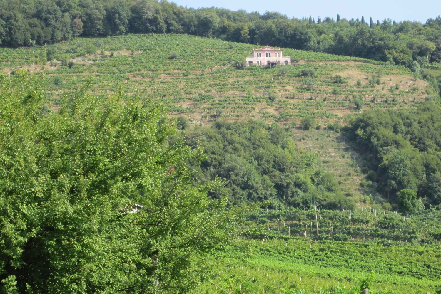 8-часовой тур 'Вино Просекко и дегустации' из Венеции или Падуи