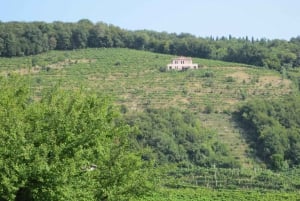 8-stündige Prosecco Wein und Verkostungen Tour ab Venedig oder Padua