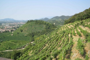 8-uur durende Prosecco wijn en proeverijen tour vanuit Venetië of Padua