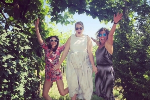 8-часовой тур 'Вино Просекко и дегустации' из Венеции или Падуи