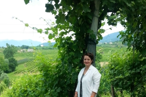 8-часовой тур 'Вино Просекко и дегустации' из Венеции или Падуи