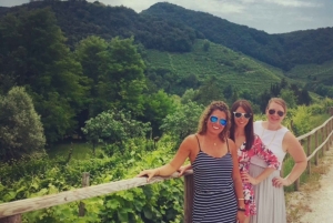 8-часовой тур 'Вино Просекко и дегустации' из Венеции или Падуи