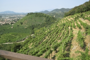 8-часовой тур 'Вино Просекко и дегустации' из Венеции или Падуи