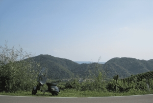 8-часовой тур 'Вино Просекко и дегустации' из Венеции или Падуи