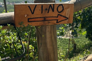 Aventura nas colinas de Prosecco da Unesco por Yellowboot