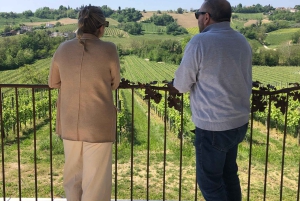 Aventura nas colinas de Prosecco da Unesco por Yellowboot