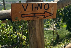 Приключение на холмах Просекко Юнеско (Unesco Prosecco Hills) от Yellowboot