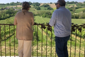 Приключение на холмах Просекко Юнеско (Unesco Prosecco Hills) от Yellowboot