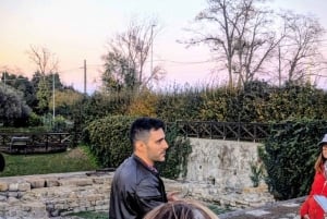 Altino: antes de Venecia, visita guiada privada por la antigua Altinum