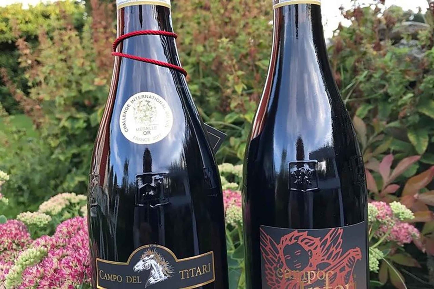 Tour de degustação de vinho Amarone. Visita Verona. A partir de Veneza