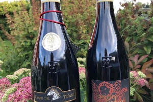 Amarone-vinsmagningstur. Besøg Verona. Fra Venedig